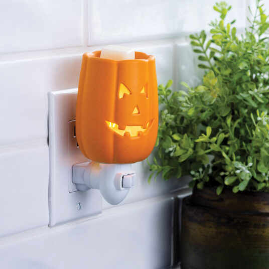 Pumpkin Plug in Warmer