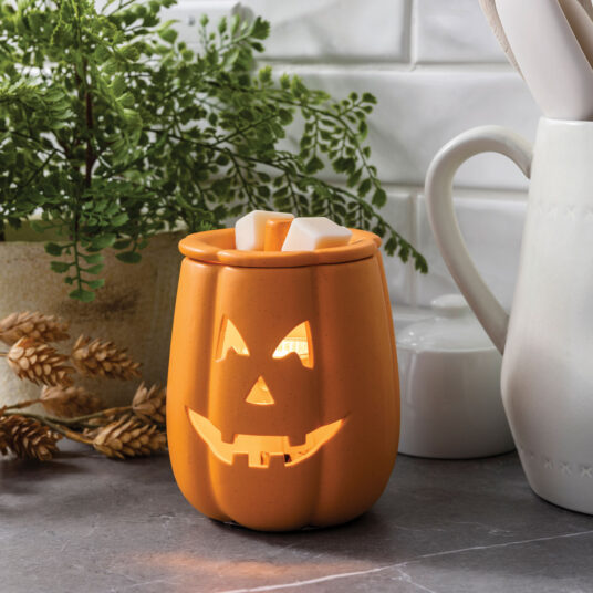 Pumpkin Warmer