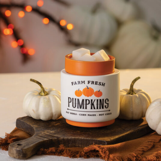 Farm Fresh Pumpkin Warmer