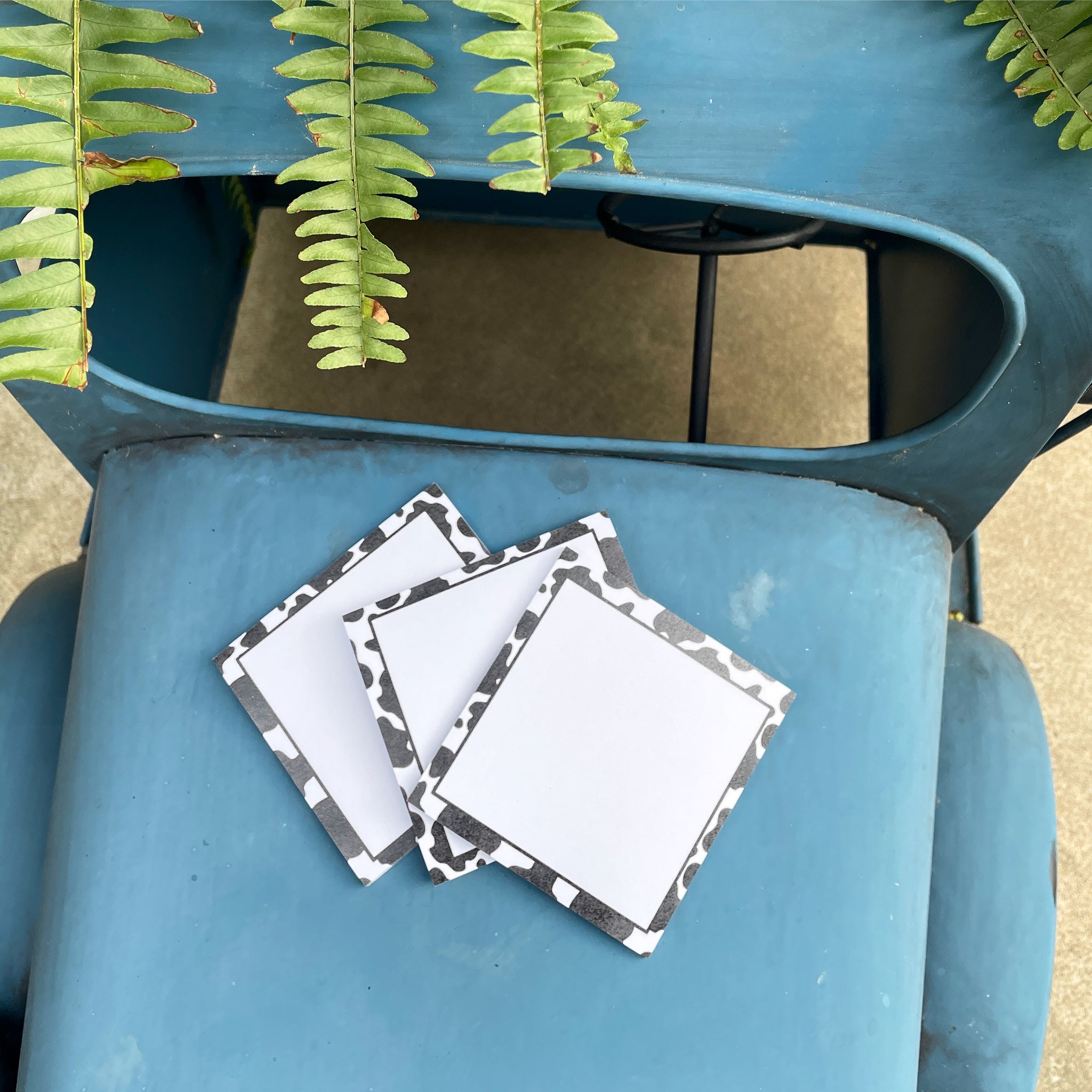 Cow Print Sticky Notes