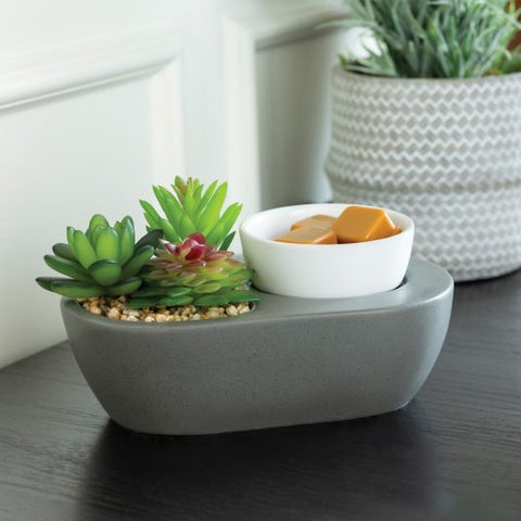 Succulent Warmer